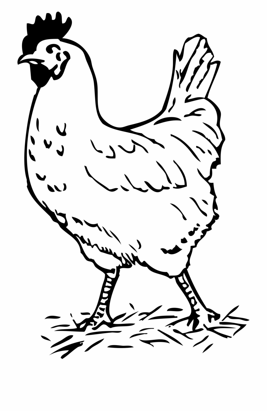 Hen clipart chicken leg. Black and white free