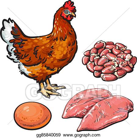 Hen clipart chicken meat. Clip art vector with