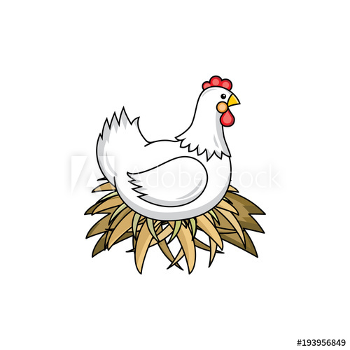 hen clipart colorful chicken