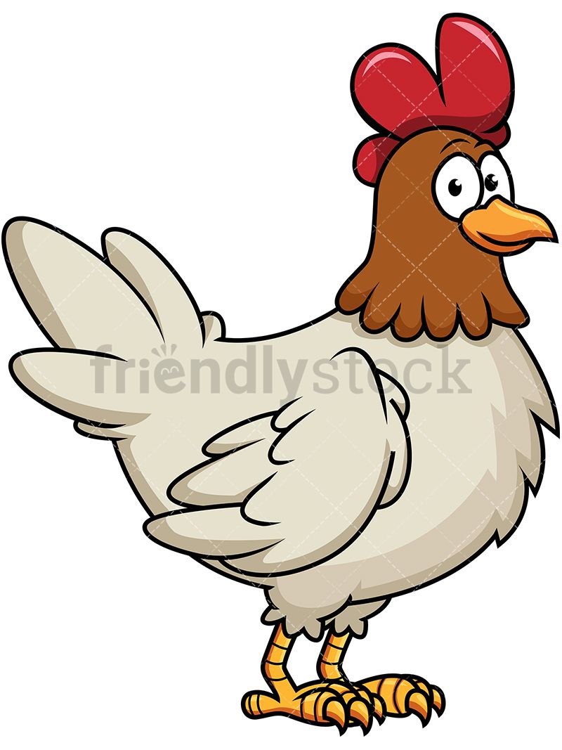 Happy artwork of chicken. Hen clipart common animal