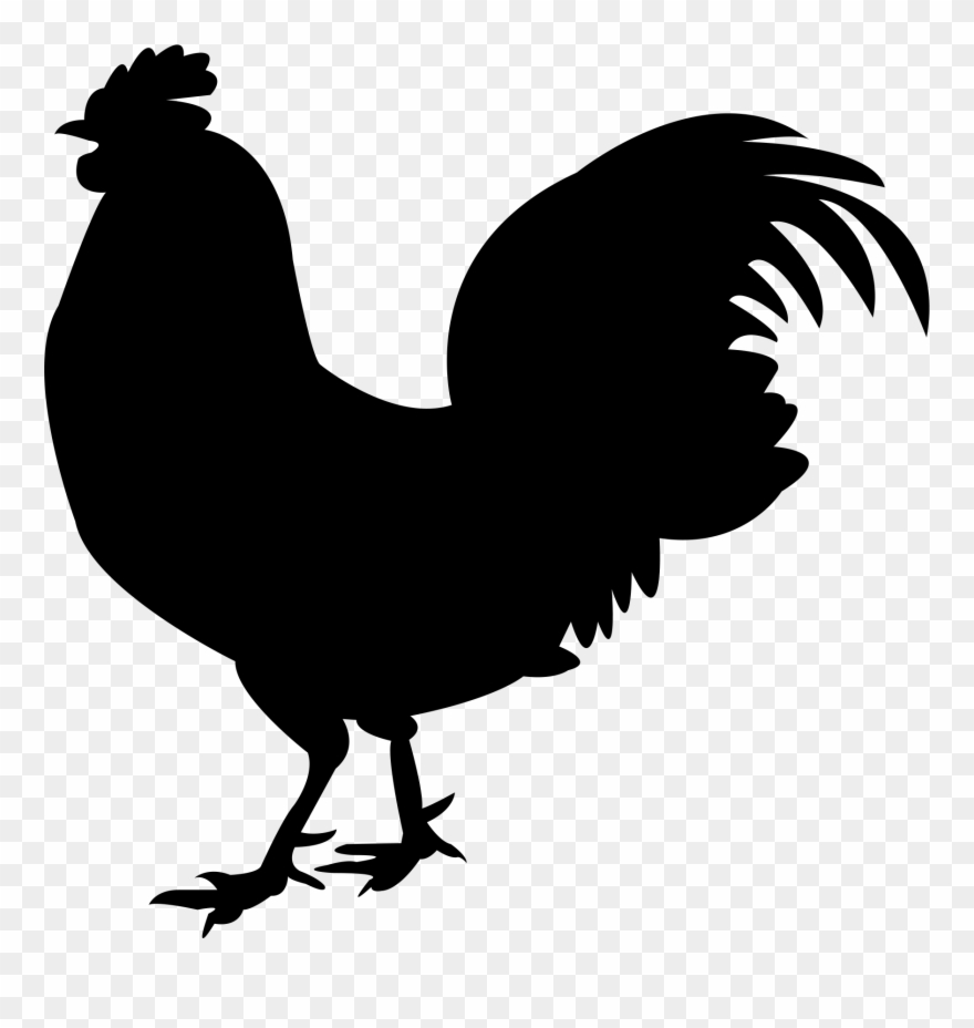 Hen clipart fried chicken wing. Png download 