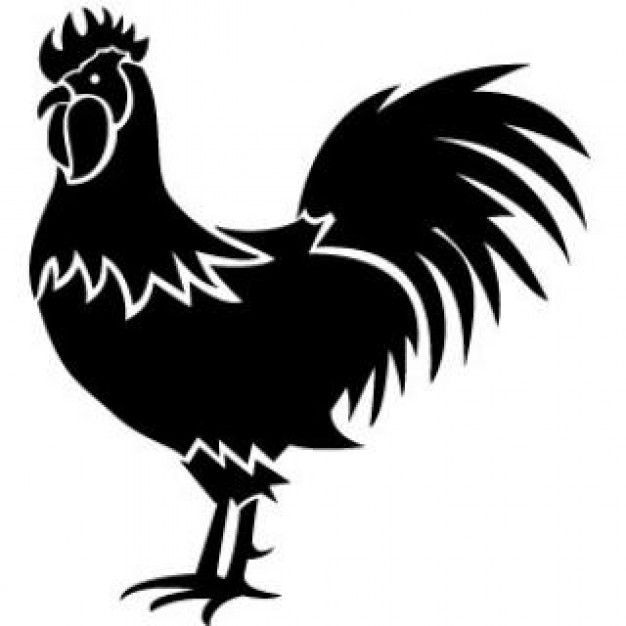 Pin on gallinas roosters. Hen clipart gallo