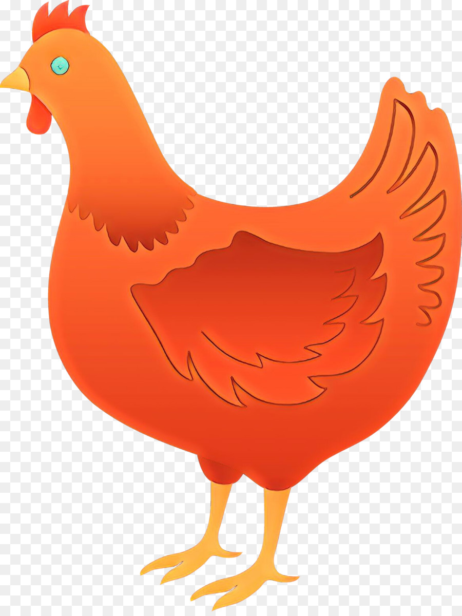 hen clipart orange chicken