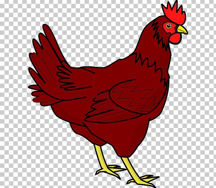 Cochin chicken the little. Hen clipart red hen