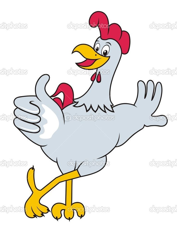 hen clipart skinny chicken