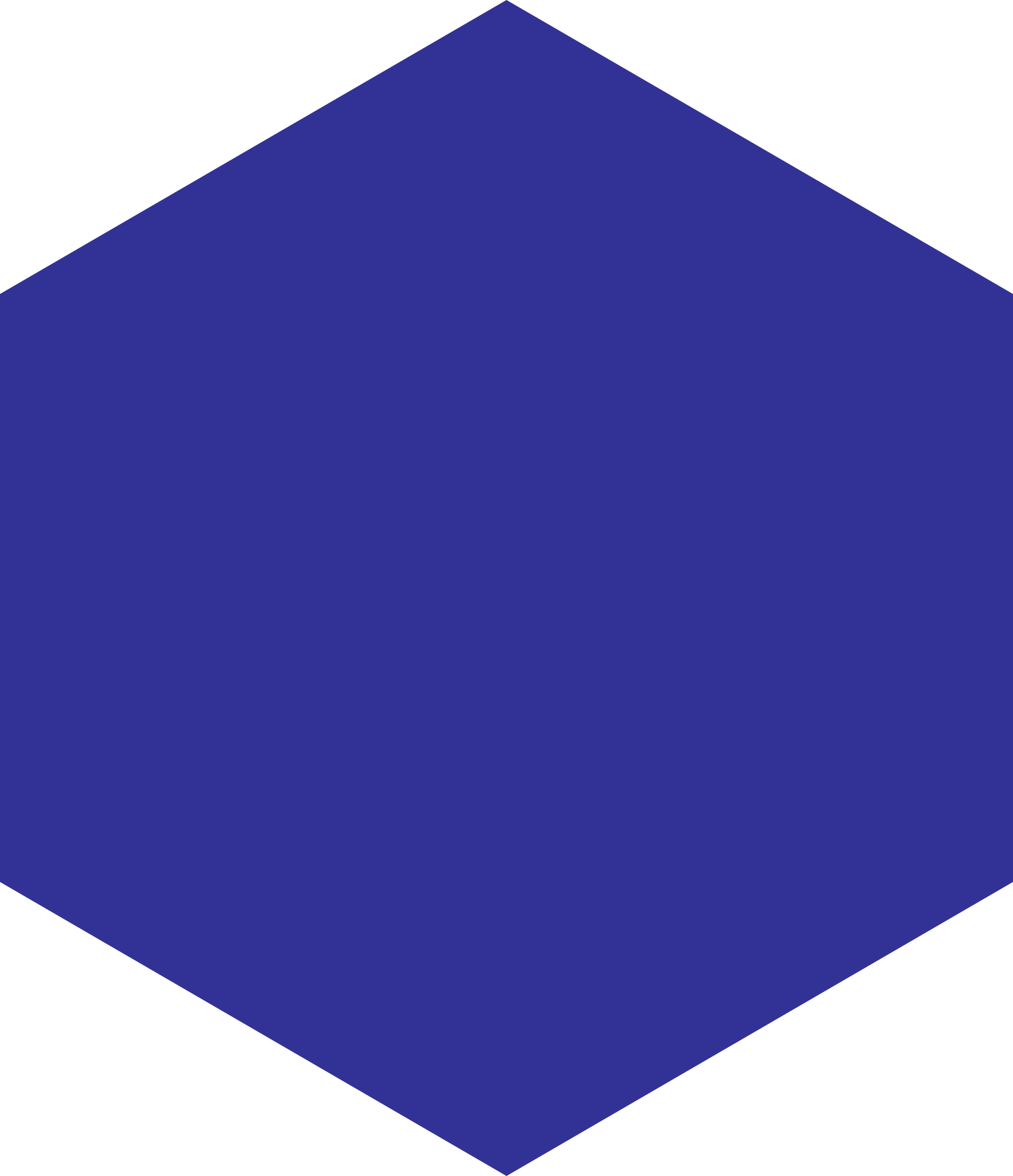 File vertex hexagonal icon. Hexagon clipart blank