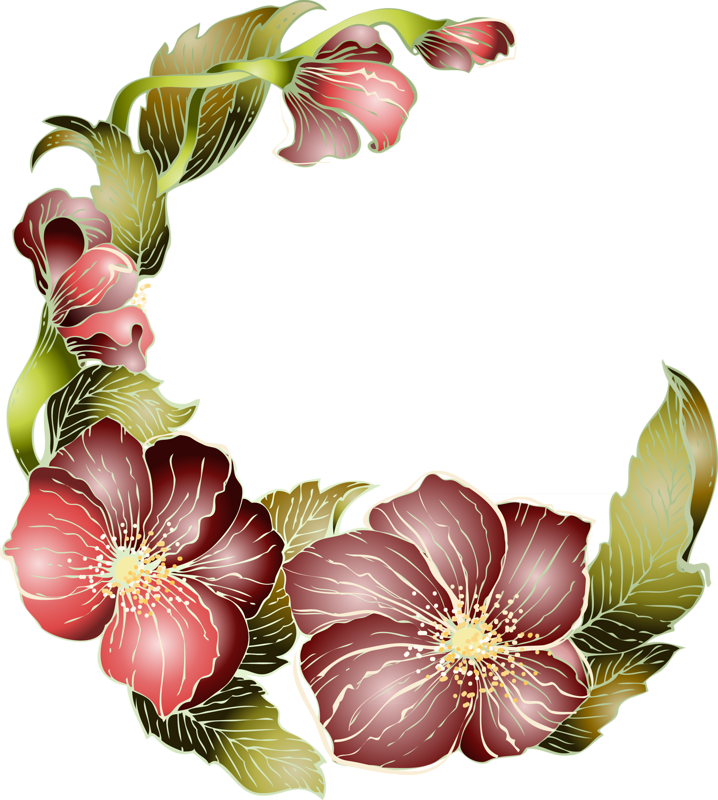 hibiscus clipart amarylli flower