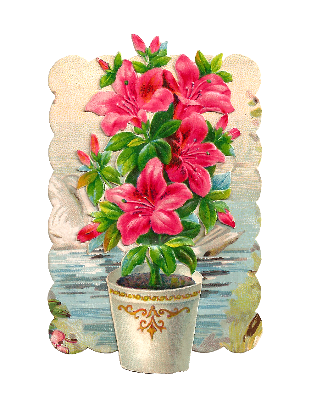 hibiscus clipart amarylli flower