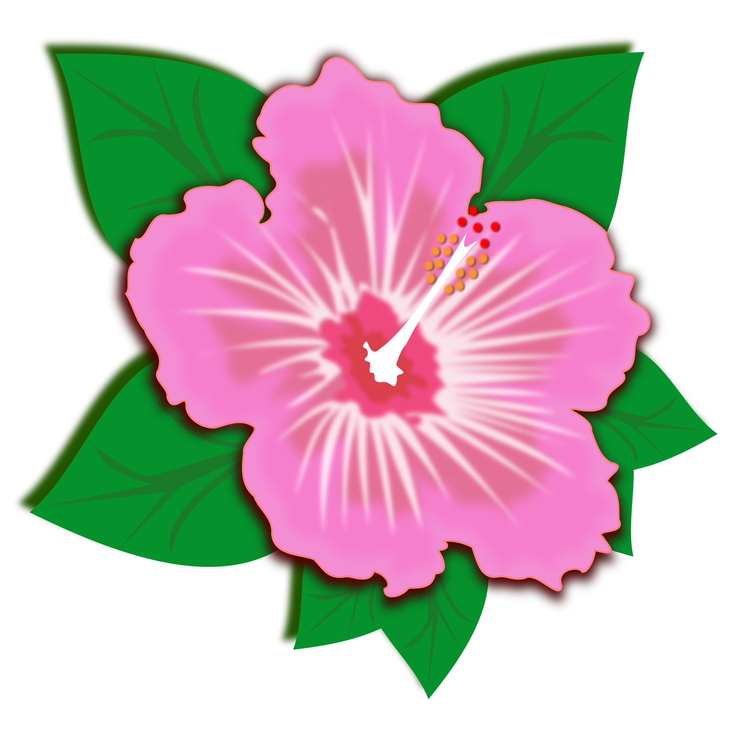 hibiscus clipart big flower