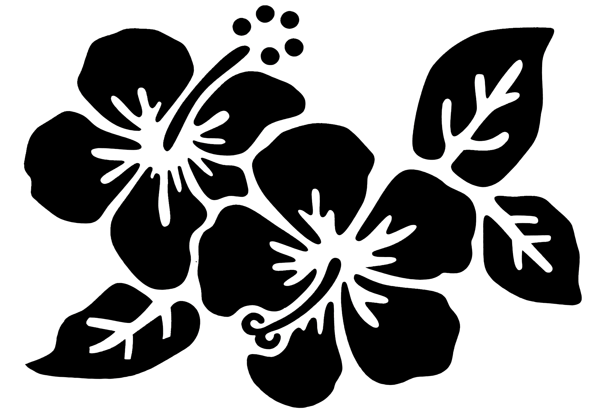 hibiscus clipart black and white
