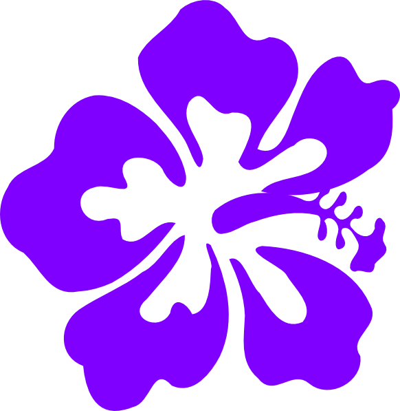Hibiscus blue violet