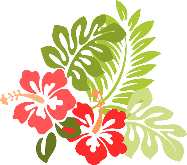 hibiscus clipart bunga raya