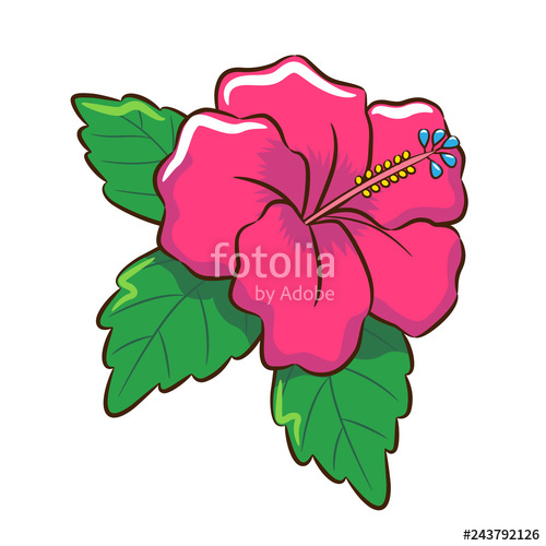 Hibiscus clipart cartoon. Stock image and royalty