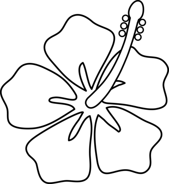 Hibiscus clipart drawing. Flowers color drawings many