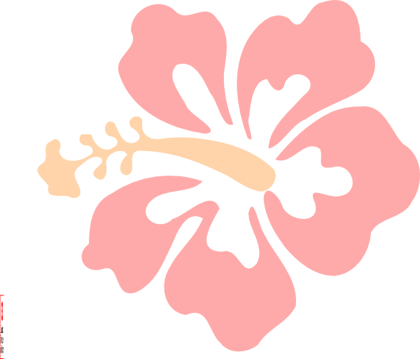 hibiscus clipart drawing