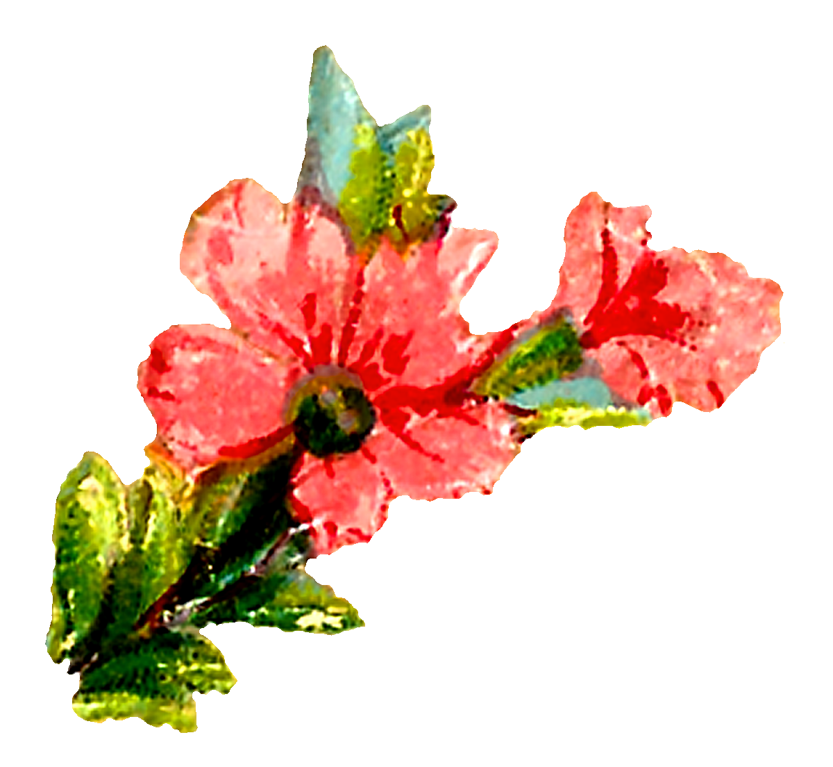 hibiscus clipart flower desing