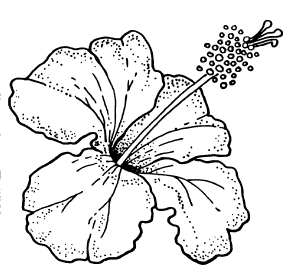 hibiscus clipart flower puerto rico