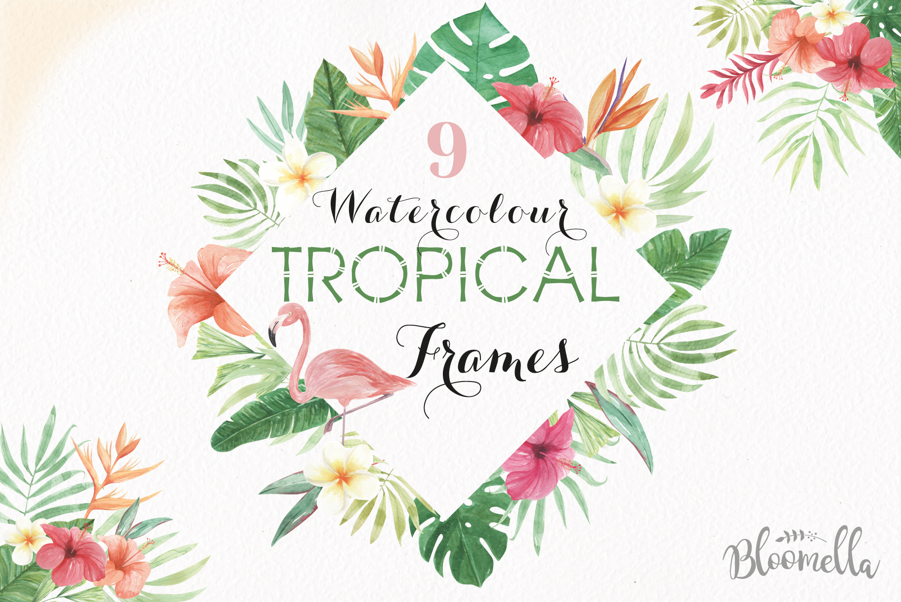 hibiscus clipart frame