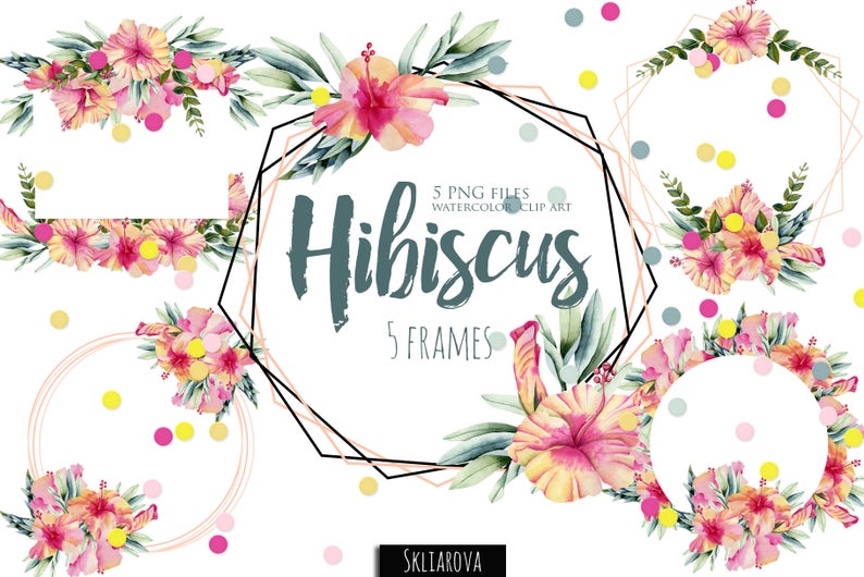 hibiscus clipart frame