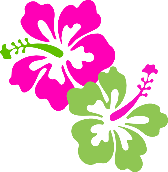 Hawaiian flowers no background. Lime clipart green star