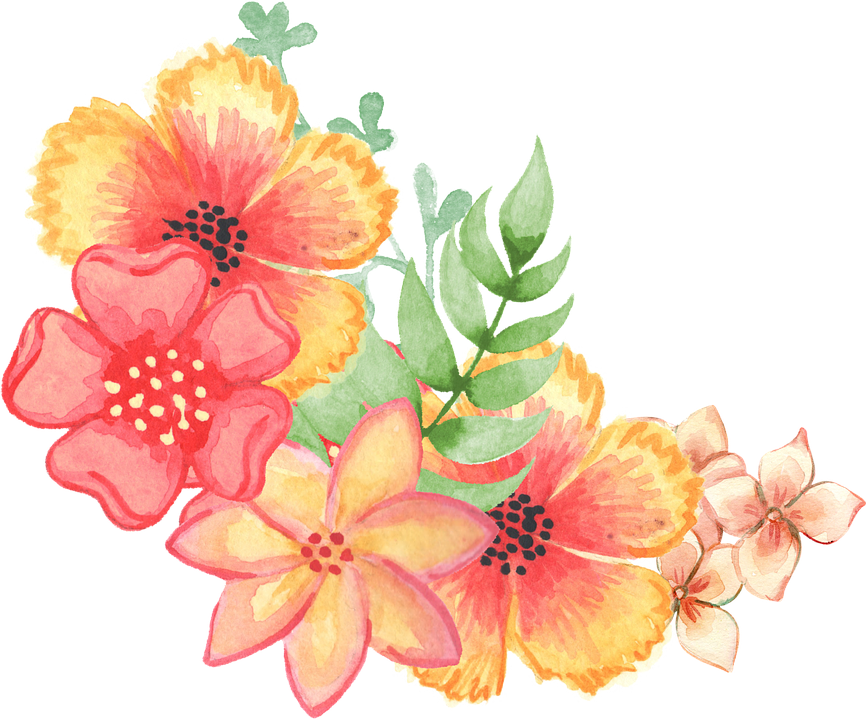 hibiscus clipart gumamela flower