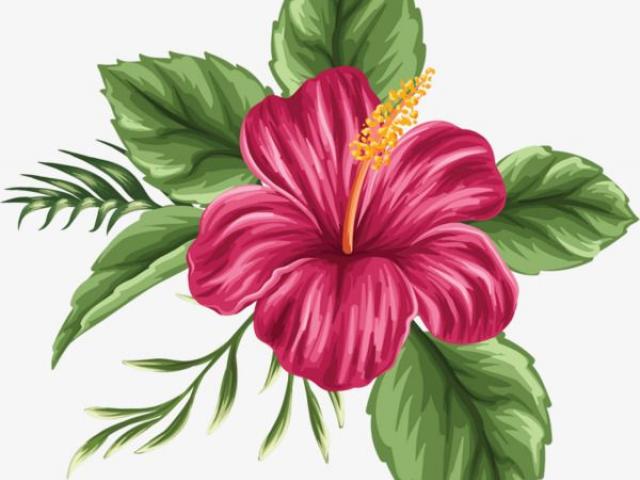 hibiscus clipart hand embroidery