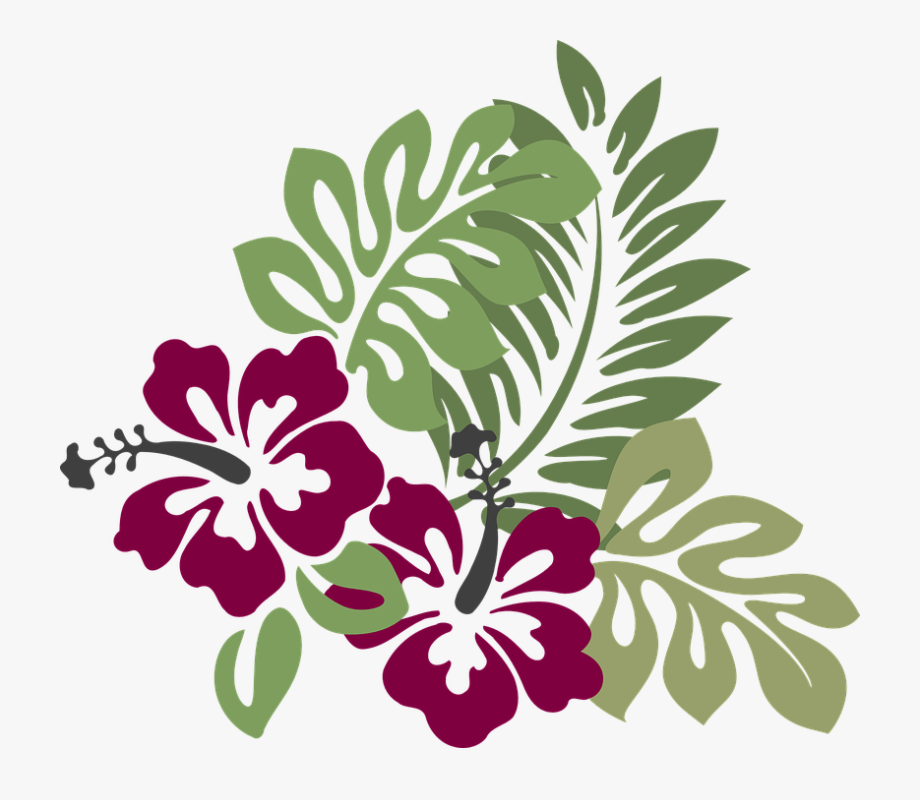 hibiscus clipart hawaiian theme