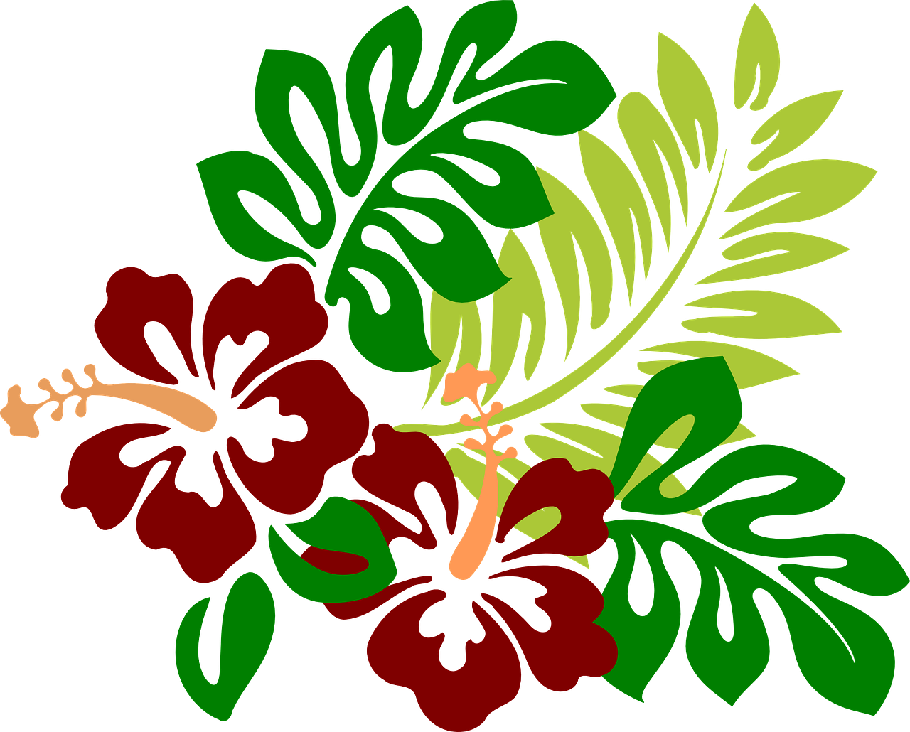 Imagem gratis no pixabay. Hibiscus clipart luau birthday