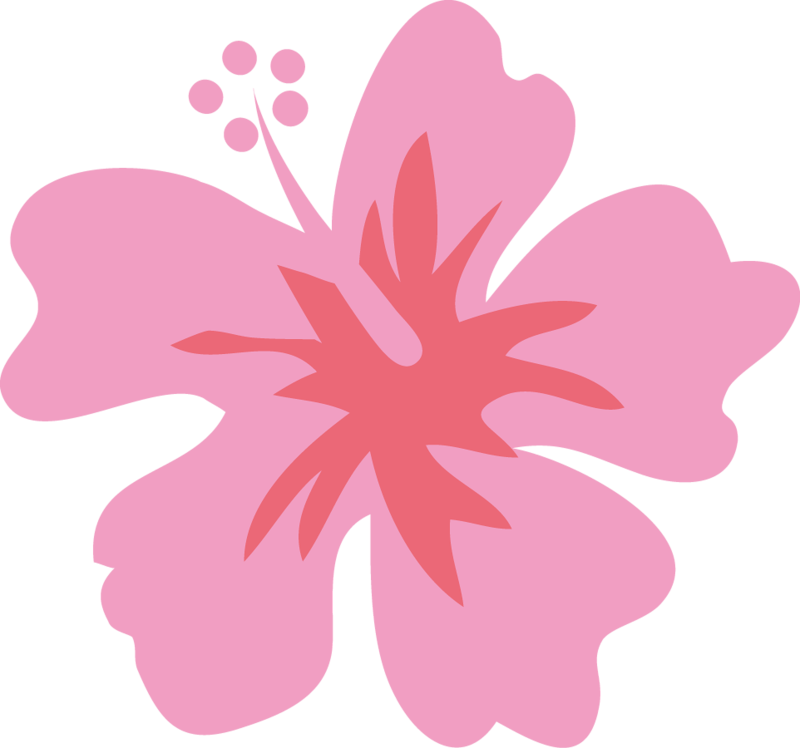 Hibiscus clipart luau birthday. Cg png album cgpng