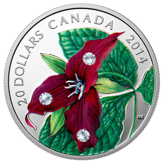 hibiscus clipart native flower