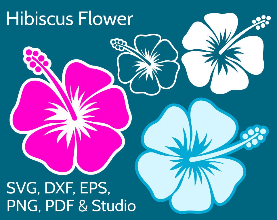 Hibiscus clipart pdf. Svg flower 