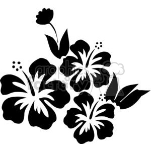 Hibiscus clipart pdf. Flower royalty free 