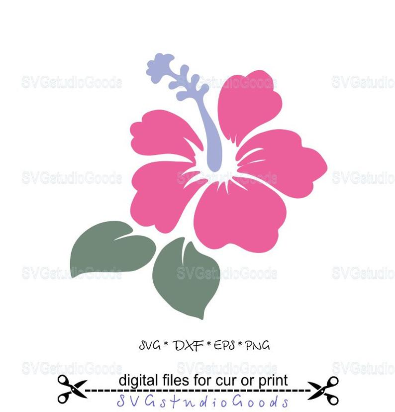 Flower svg hawaii eps. Hibiscus clipart pdf