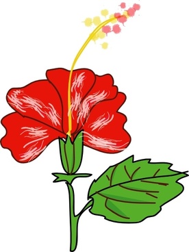 hibiscus clipart phool