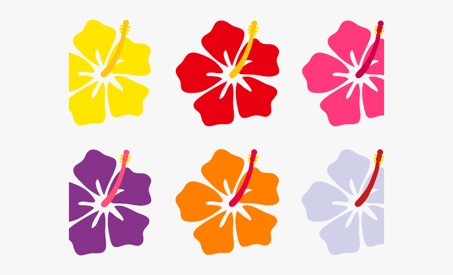 hibiscus clipart red object