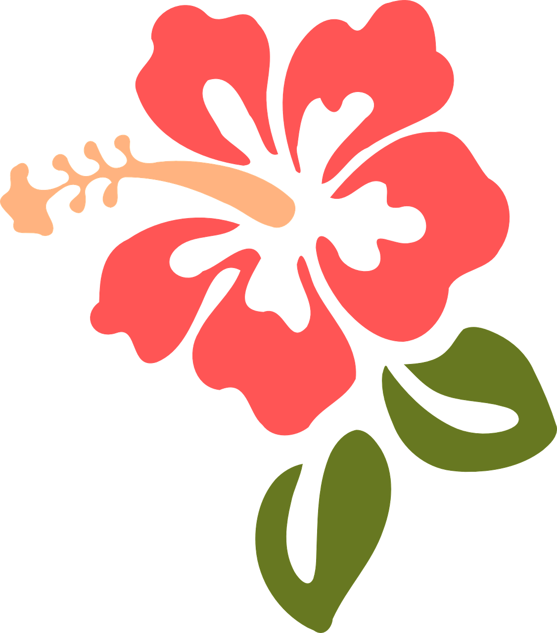 hibiscus clipart shurbs