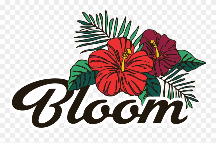 Hibiscus clipart shurbs. Shrub hawaiian png download