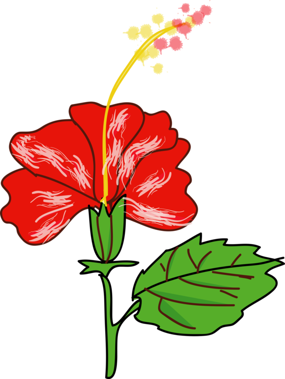 Plant flora leaf png. Hibiscus clipart shurbs