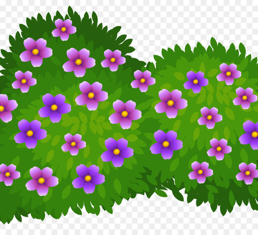 Family tree drawing png. Hibiscus clipart shurbs