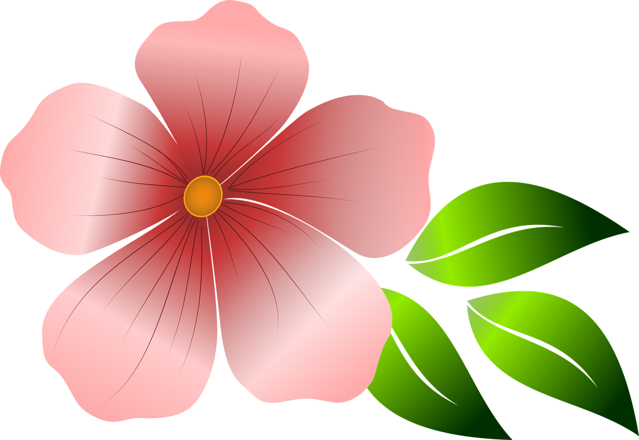 hibiscus clipart summer flower