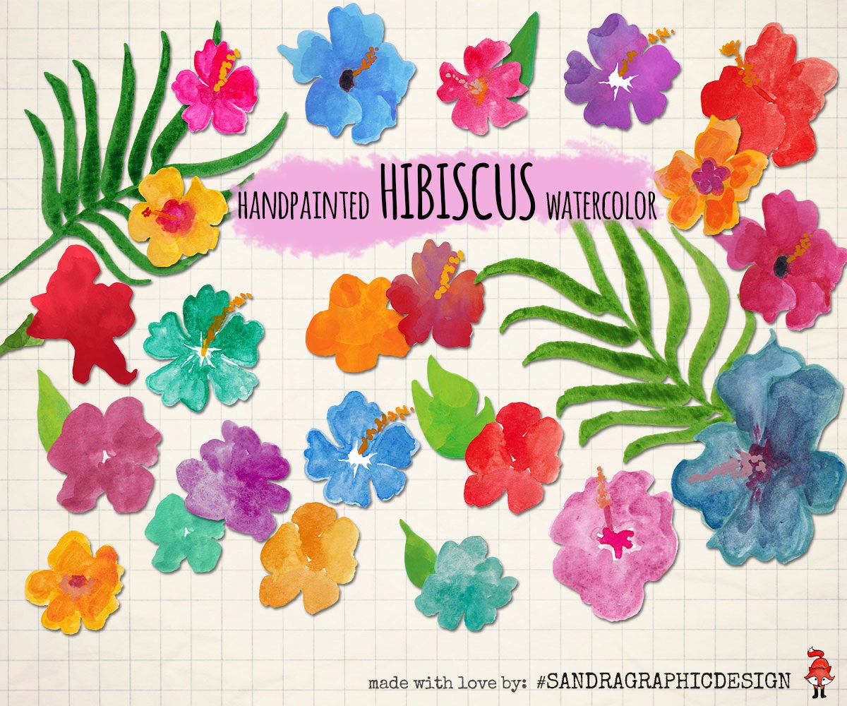 Hibiscus clipart summer flower. Flowers hand painted with