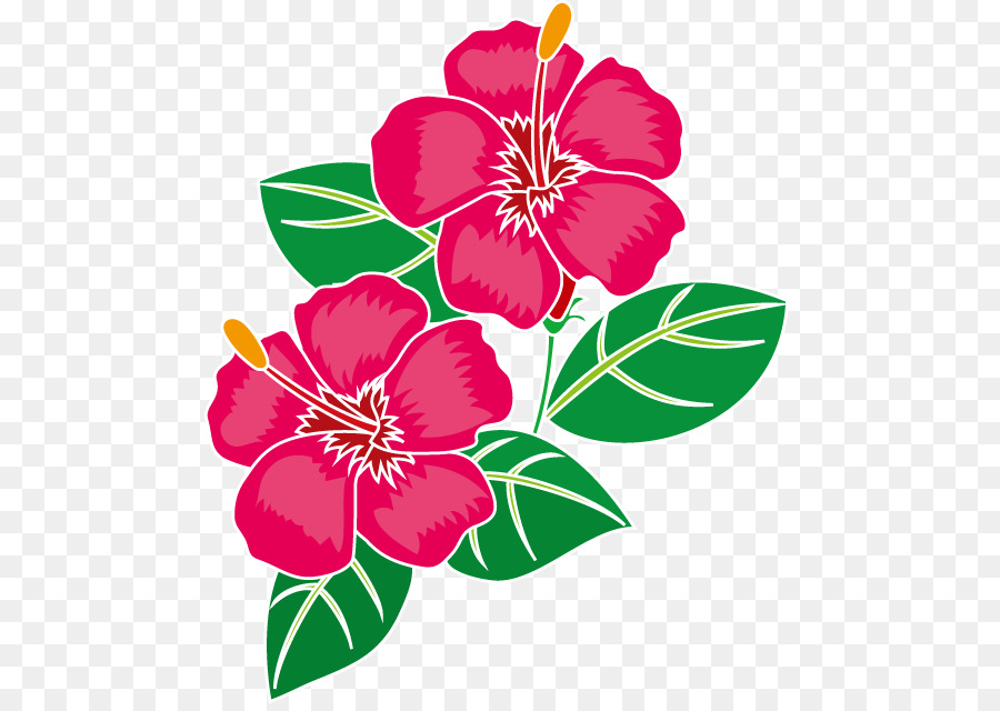 hibiscus clipart summer flower