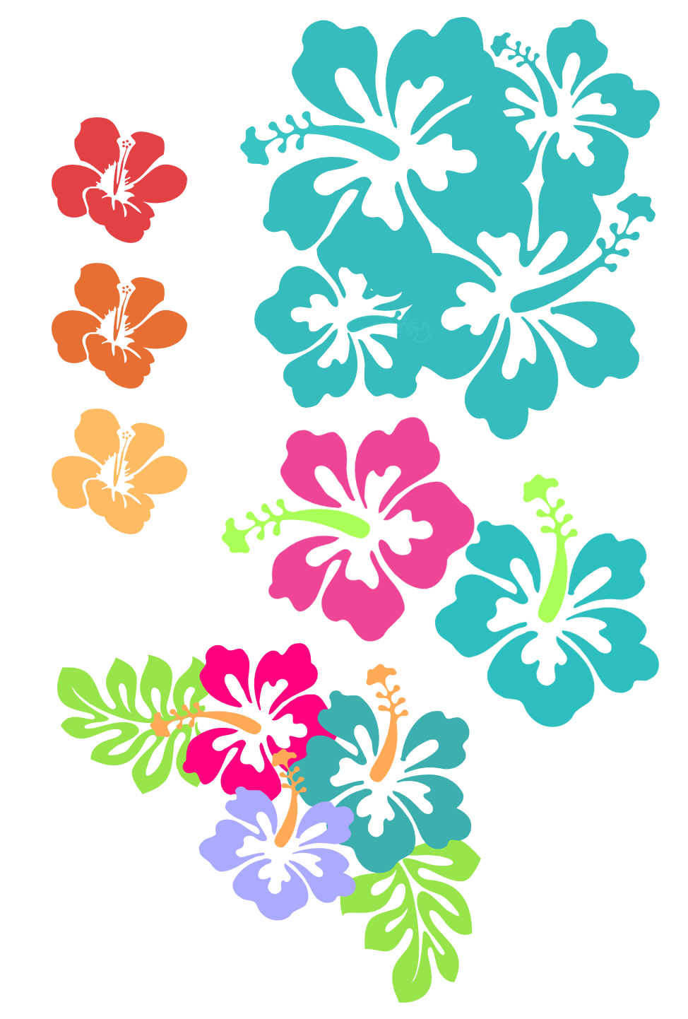 hibiscus clipart teal