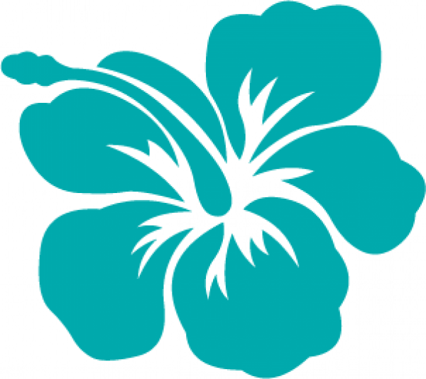 hibiscus clipart teal
