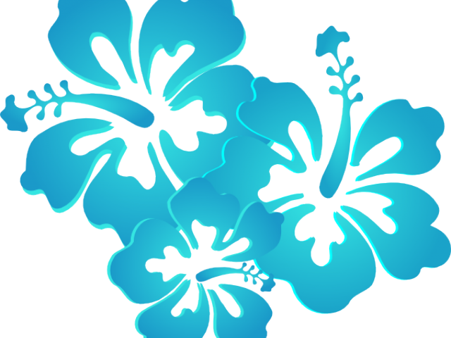 hibiscus clipart turquoise