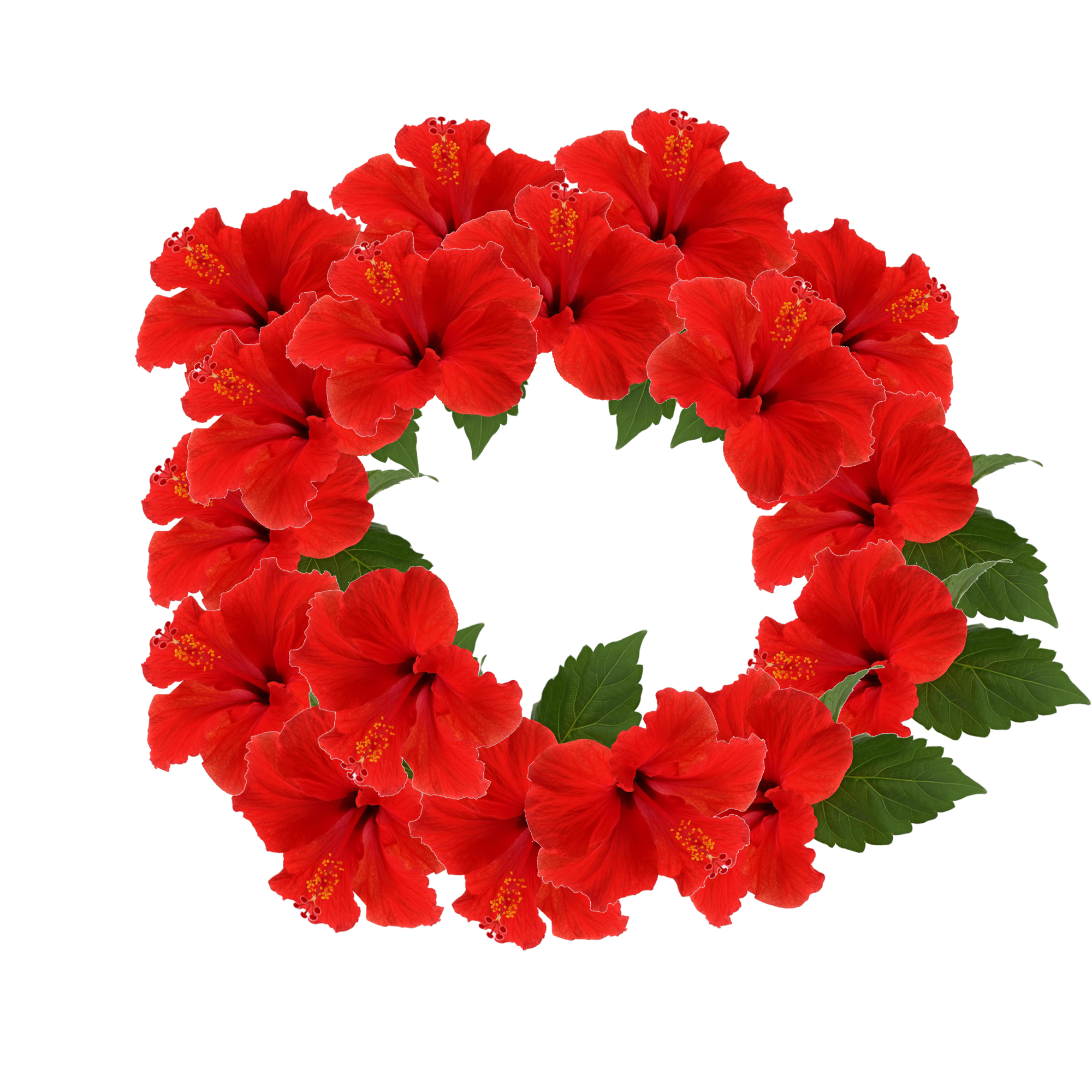 Hibiscus clipart wreath. Flower sticker photography clip