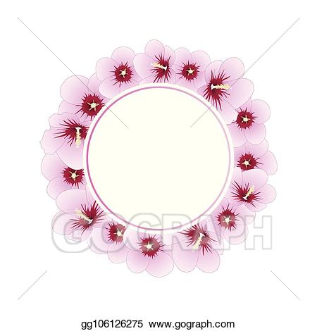 Hibiscus clipart wreath. Vector illustration syriacus rose