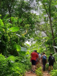 Big buddha cc s. Hiking clipart jungle trekking