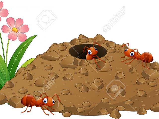 hill clipart ant farm