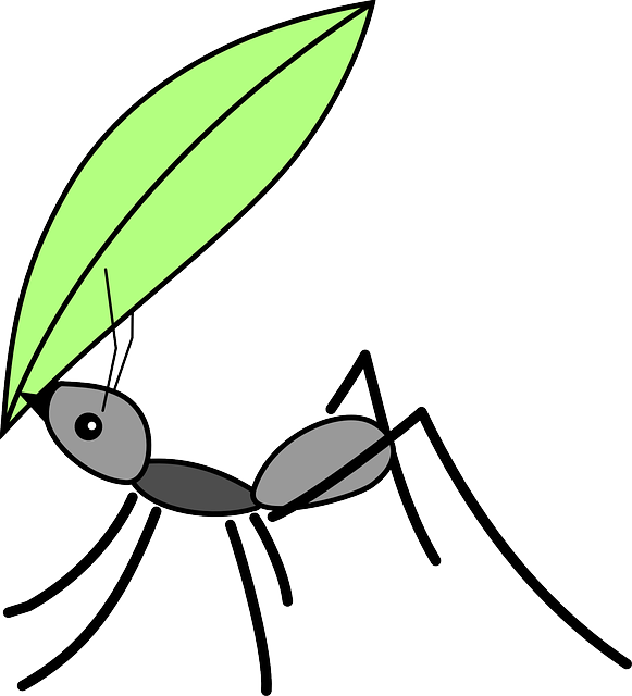 hill clipart ant home